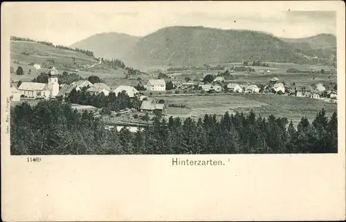 Ak Hinterzarten im Schwarzwald, Panorama, Kirche