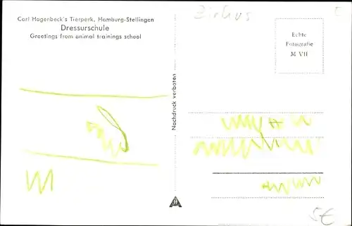 Ak Hamburg Eimsbüttel Stellingen, Carl Hagenbecks Tierpark, Dressur Schule, Elefant, Affen, Ponys