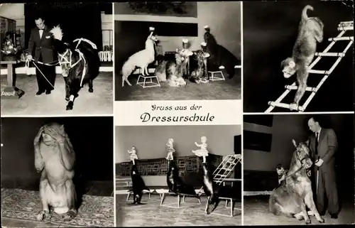 Ak Hamburg Eimsbüttel Stellingen, Carl Hagenbecks Tierpark, Dressurschule