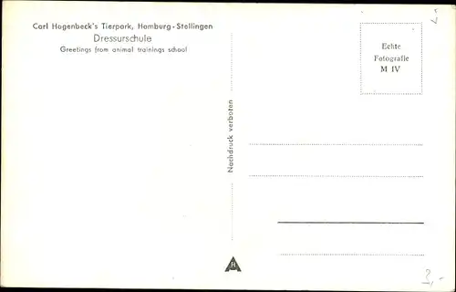 Ak Hamburg Eimsbüttel Stellingen, Carl Hagenbecks Tierpark, Dressurschule