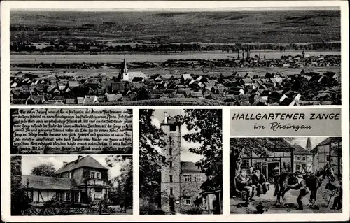 Ak Hallgarten Oestrich Winkel in Hessen, Hallgartener Zange, Rheingau, Aussichtsturm
