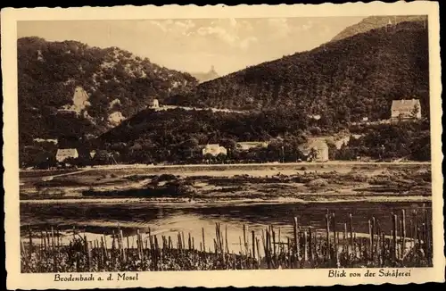 Ak Brodenbach an der Mosel, Blick von der Schäferei