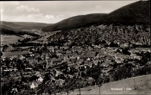 Ak Weilbach im Odenwald Unterfranken Bayern, Totalansicht der Ortschaft