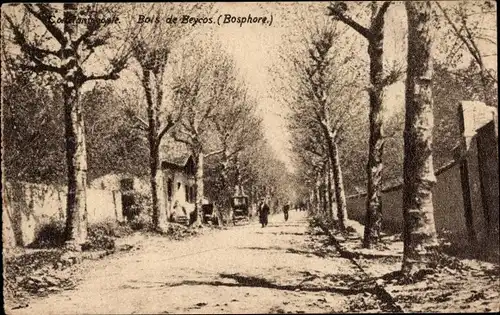 Ak Konstantinopel Istanbul Türkei, Bois de Beycos