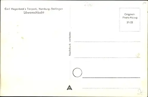 Ak Hamburg Eimsbüttel Stellingen, Carl Hagenbecks Tierpark, Löwenschlucht