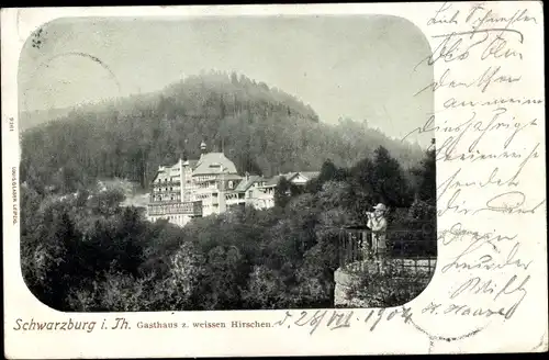 Ak Schwarzburg in Thüringen, Gasthaus z. weissen Hirschen