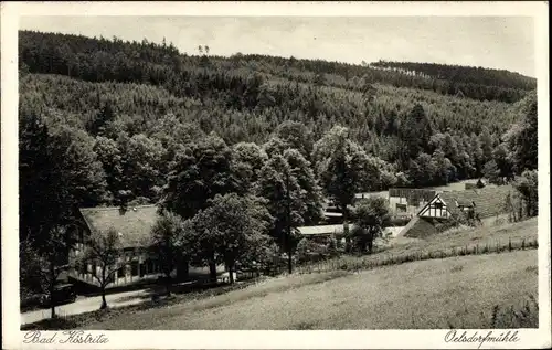 Ak Bad Köstritz in Thüringen, Oelsdorfmühle