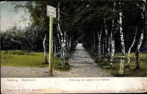 Ak Hamburg Harburg Hausbruch, Birkenweg vom Jägerhof zum Bahnhof