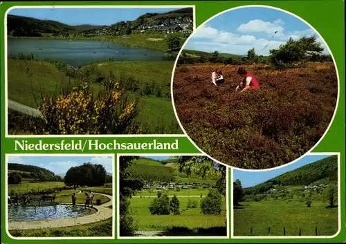 Ak Niedersfeld Winterberg im Sauerland