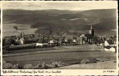 Ak Masserberg in Thüringen, Panorama