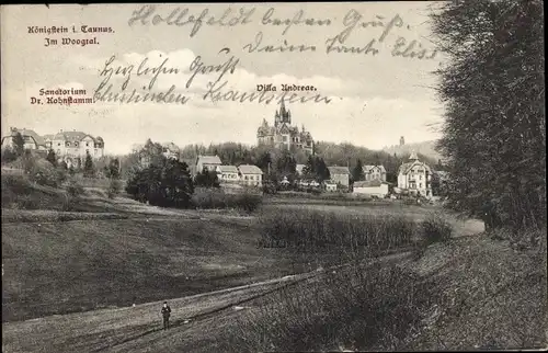 Ak Königstein im Taunus, Villa Andreas, Sanatorium Dr. Kohnstamm, Woogtal