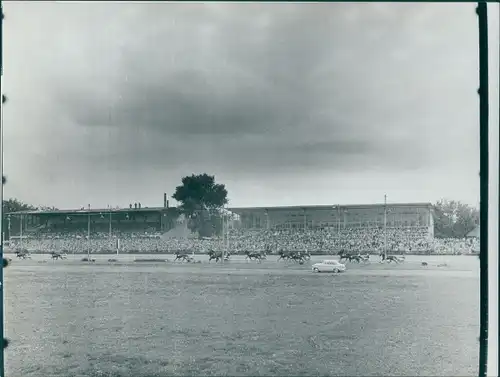 Foto Berlin Tempelhof Mariendorf, Trabrennbahn, 1954