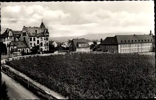 Ak Geisenheim am Rhein Hessen, Gymnasium und St. Ursula-Schule