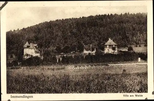 Ak Immendingen an der Donau Baden, Villa am Walde