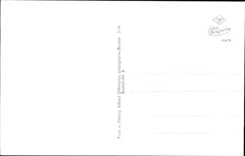 Ak Werneck in Unterfranken, Schloss, Park, Teilansichten