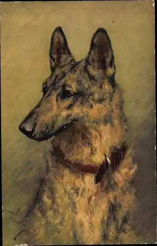 Künstler Ak Schäferhund, Hundeportrait