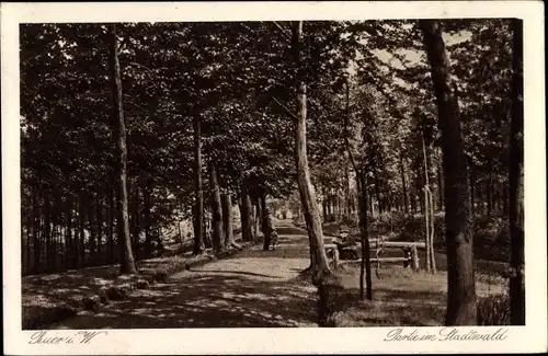 Ak Buer in Westfalen Gelsenkirchen Ruhrgebiet, Stadtwald, 1925