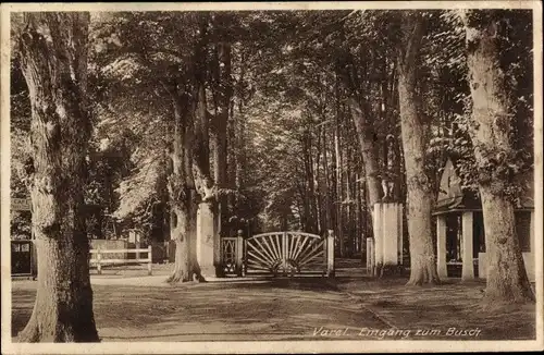 Ak Varel in Oldenburg Jadebusen, Eingang zum Busch