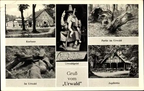 Ak Zetel in Oldenburg Friesland, Kurhaus am Urwald, Urwaldgeist, Jagdhütte