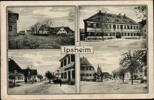 Ak Ipsheim Mittelfranken, Forstamt, Ortsansichten