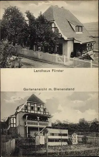 Ak Bad Soden Salmünster in Hessen, Stolzenberg, Landhaus Förster, Bienenstand