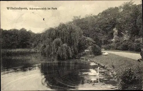 Ak Wilhelmshaven in Niedersachsen, Schwanenteich im Park