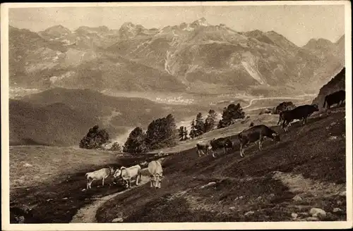 Künstler Ak Aus dem Schweizer Bergen, Kuhherde auf der Alm