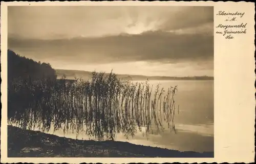 Ak Rheinsberg in der Mark, Morgennebel im Grienericksee