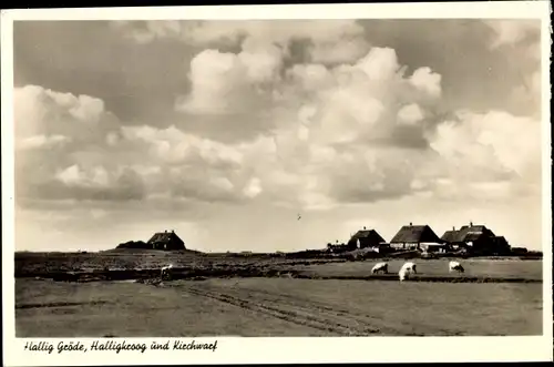 Ak Hallig Gröde in Nordfriesland, Halligkroog und Kirchwarft