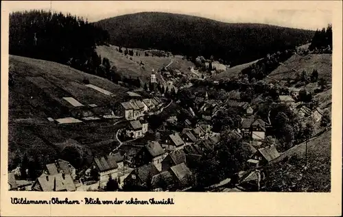 Ak Wildemann Clausthal Zellerfeld im Oberharz, Teilansicht, Blick von der schönen Aussicht