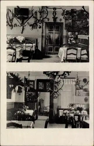 Ak Trusetal in Thüringen, Hotel Wasserfall, Jagdzimmer