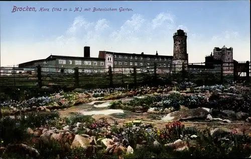 Ak Brocken Nationalpark Harz, Brockenhotel, Botanischer Garten