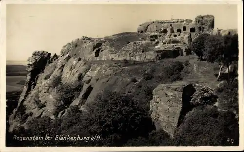 Ak Blankenburg am Harz, Burg Regenstein