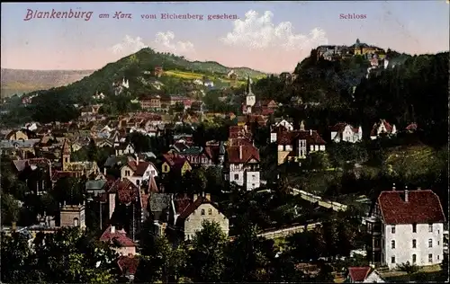 Ak Blankenburg am Harz, Blick vom Eichenberg, Schloss
