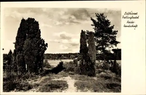 Ak Bad Fallingbostel Lüneburger Heide, Heidelandschaft