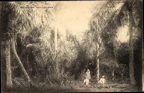 Ak Dahomey Benin, Palmen Partie