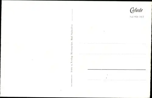 Ak Bad Salzuflen in Lippe, Fontäne mit Gradierwerk