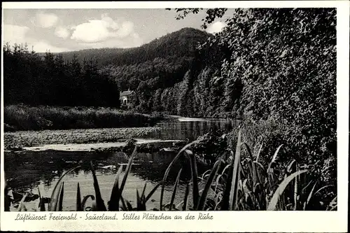 Ak Freienohl Meschede im Sauerland, Stilles Plätzchen an der Ruhr