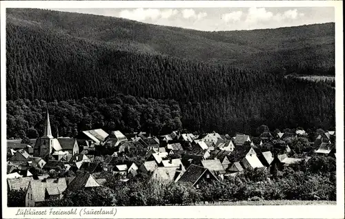 Ak Freienohl Meschede im Sauerland, Gesamtansicht