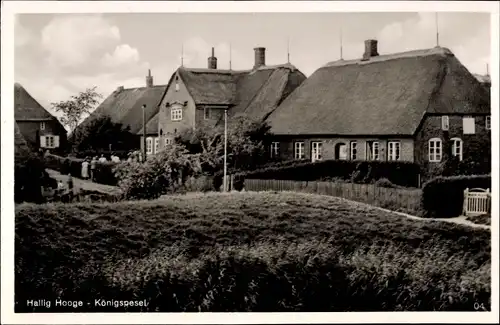 Ak Hallig Hooge in Nordfriesland, Königspesel