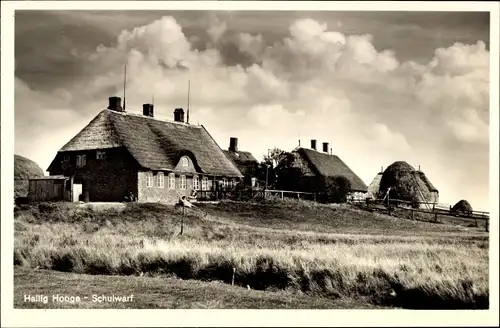 Ak Hallig Hooge in Nordfriesland, Schulwarft