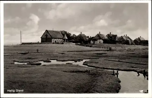 Ak Hallig Oland Nordfriesland, Teilansicht