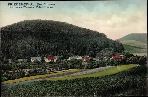 Ak Friedensthal Löwensen Bad Pyrmont in Niedersachsen, Blick auf die Quäkerkolonie