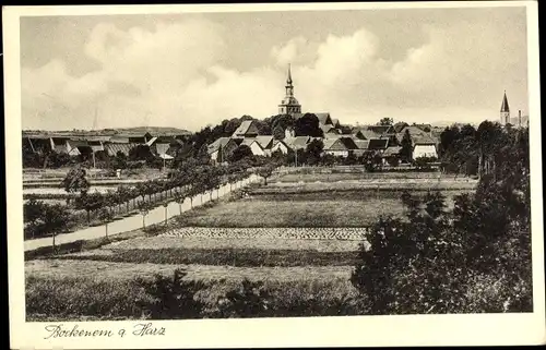 Ak Bockenem am Harz, Totalansicht der Ortschaft