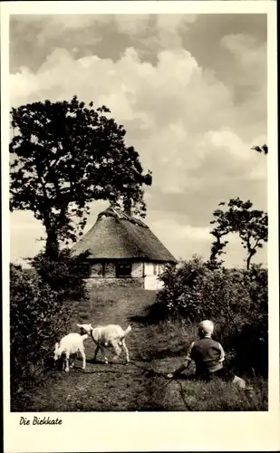 Ak Gelting in Angeln, Birkkate, Kind mit Ziegen