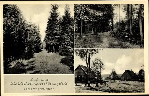 Ak Drangstedt Geestland, Waldpartie, Häuser