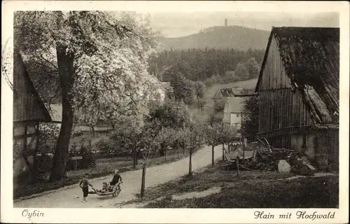 Ak Hain Hayn Oybin in Sachsen, Straßenpartie mit Hochwald