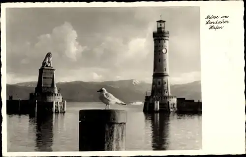 Ak Lindau am Bodensee Schwaben, Hafen, Möwe