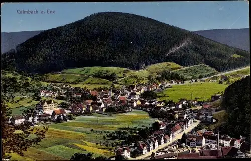 Ak Calmbach Bad Wildbad im Schwarzwald, Gesamtansicht