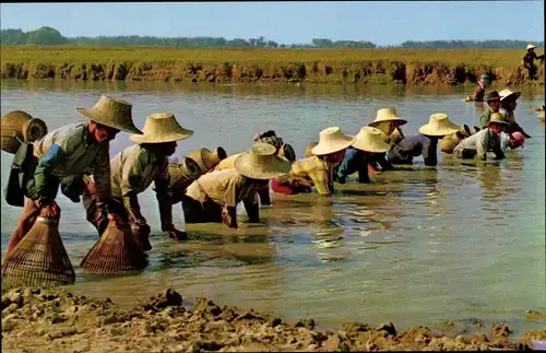 Ak Thailand, Thai farmers after the harvest season at their leisure time always catch fish